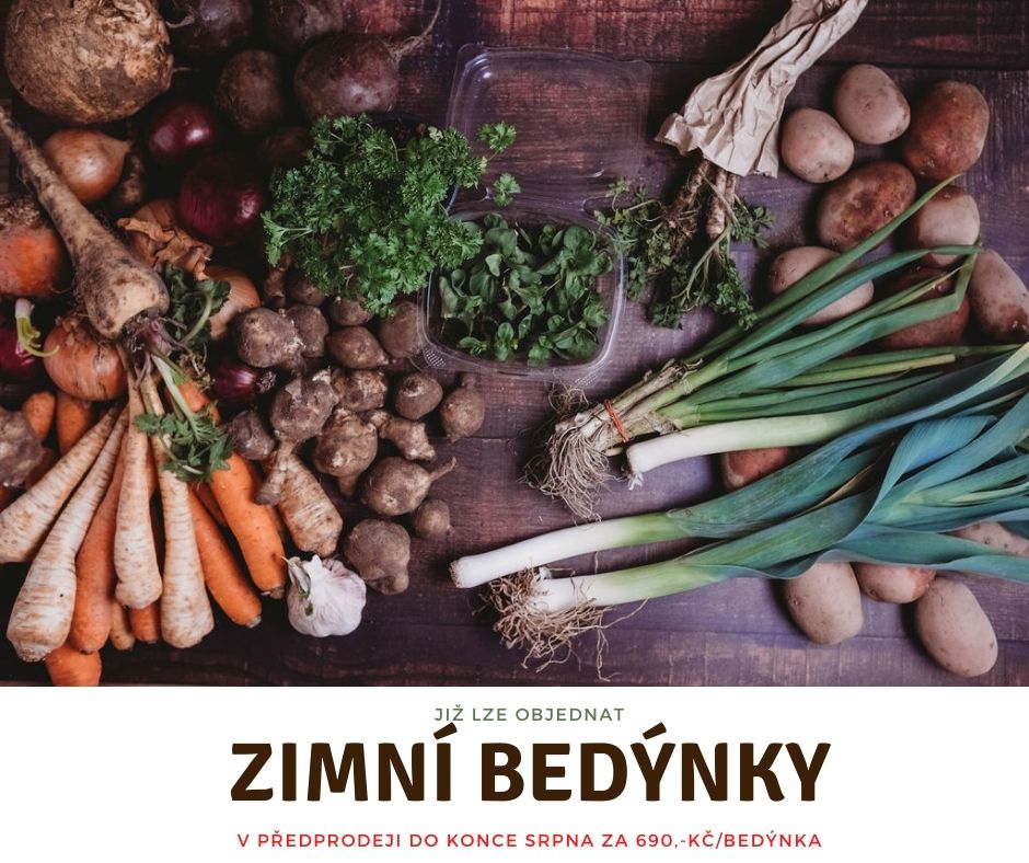 Proč s námi bedýnkuje paní doktorka