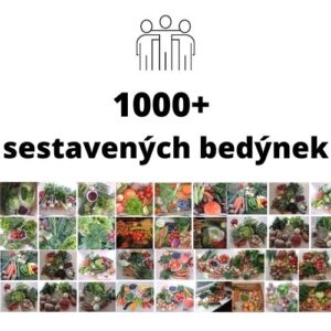 bedýnkovani