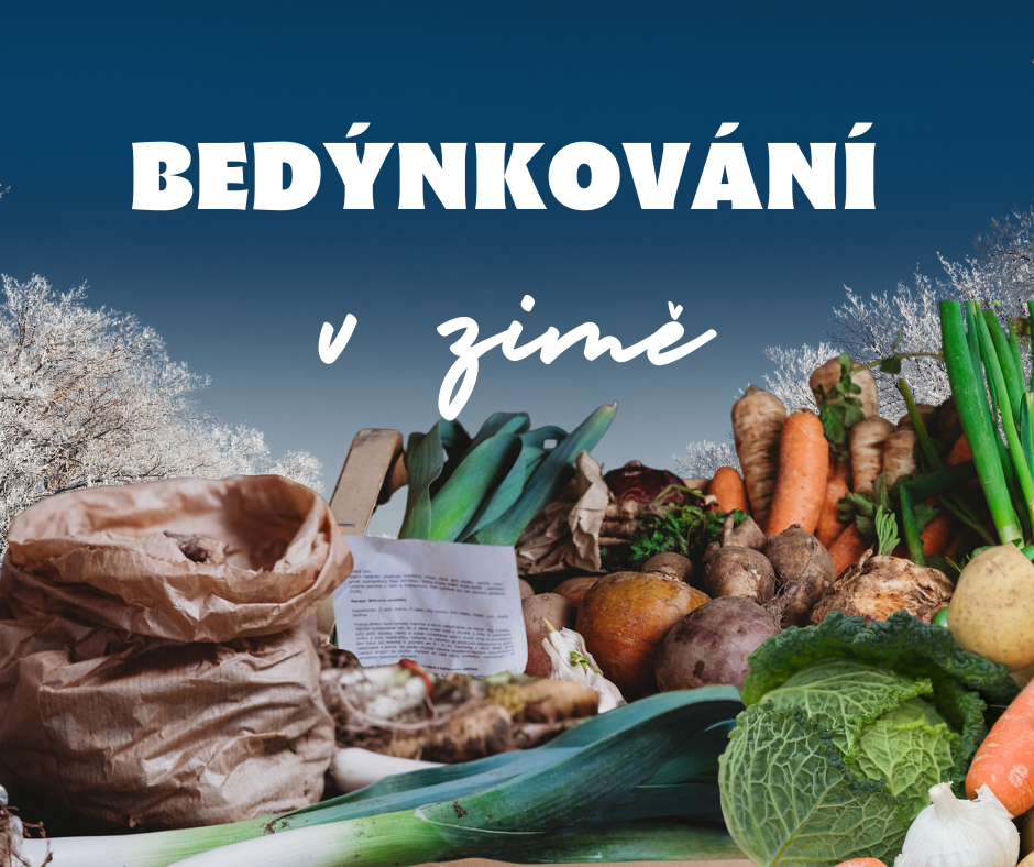 bedýnkování v zimě