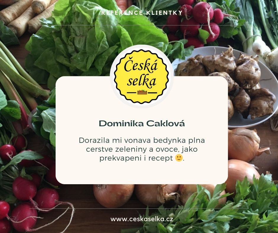 reference česká selka