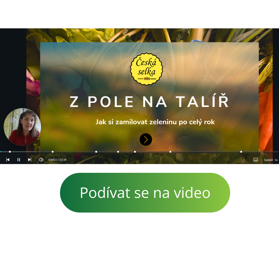 reference ovoce a zelenina